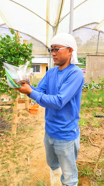 おいしいやさい